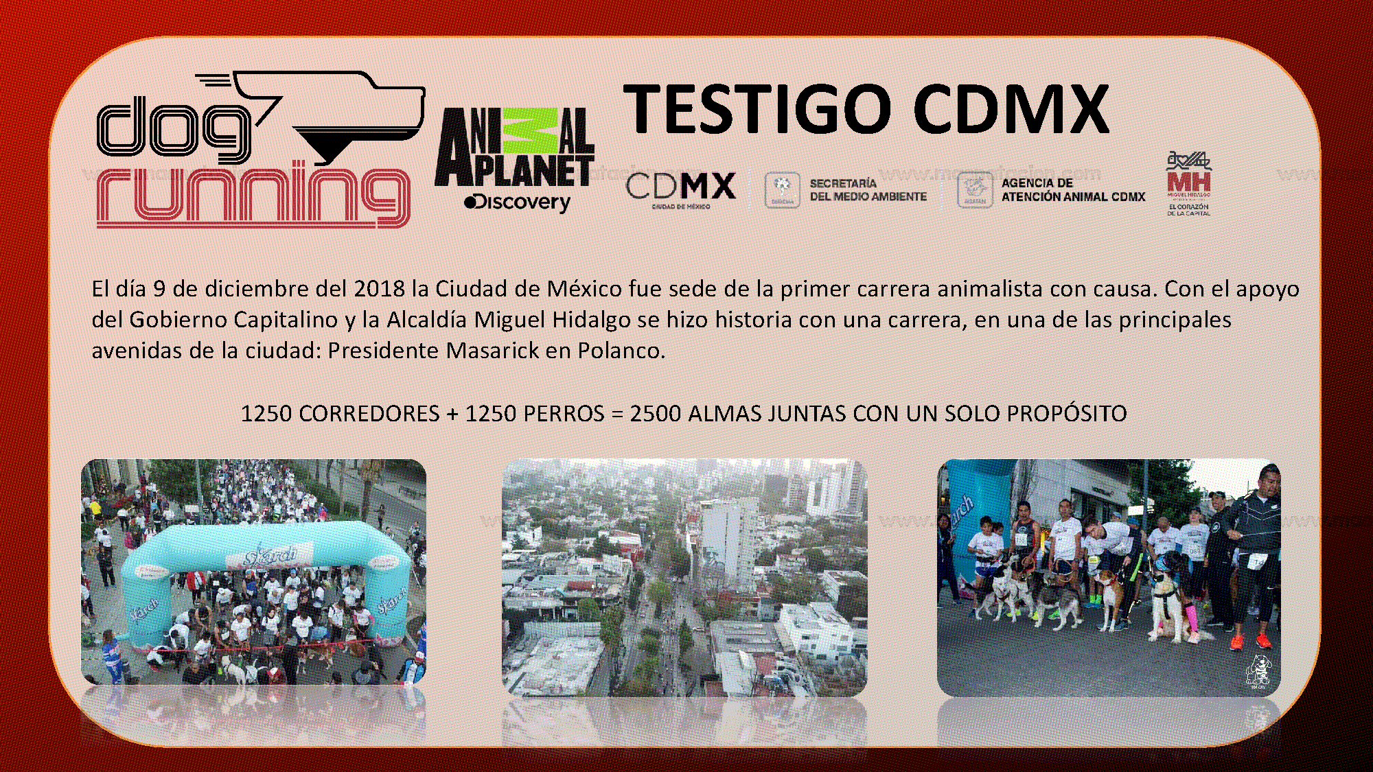 Convocatoria: Dog Running Cdmx 2019