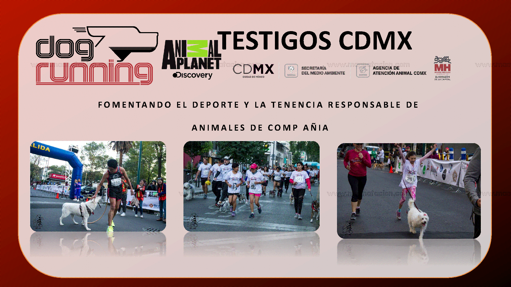 Convocatoria: Dog Running Cdmx 2019