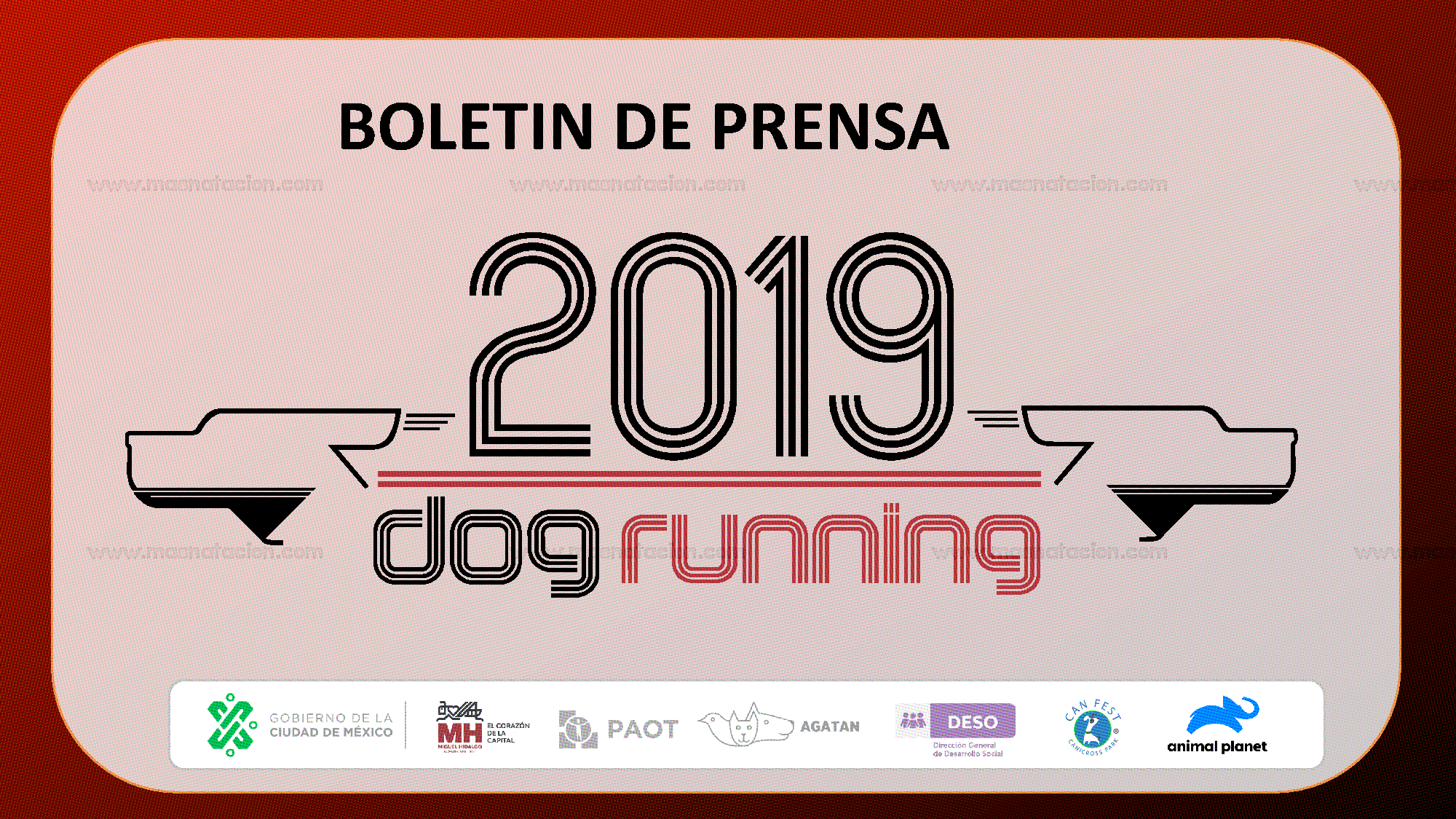 Convocatoria: Dog Running Cdmx 2019