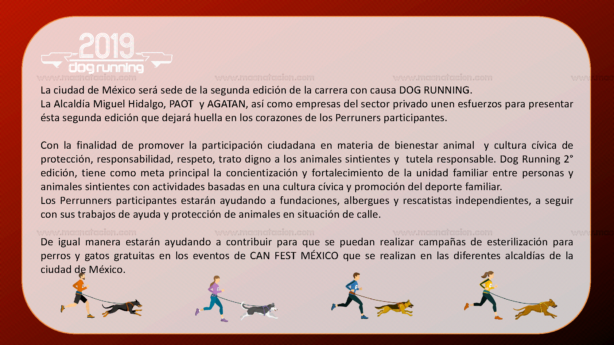 Carta De Exoneracion Carrera - M Soalan