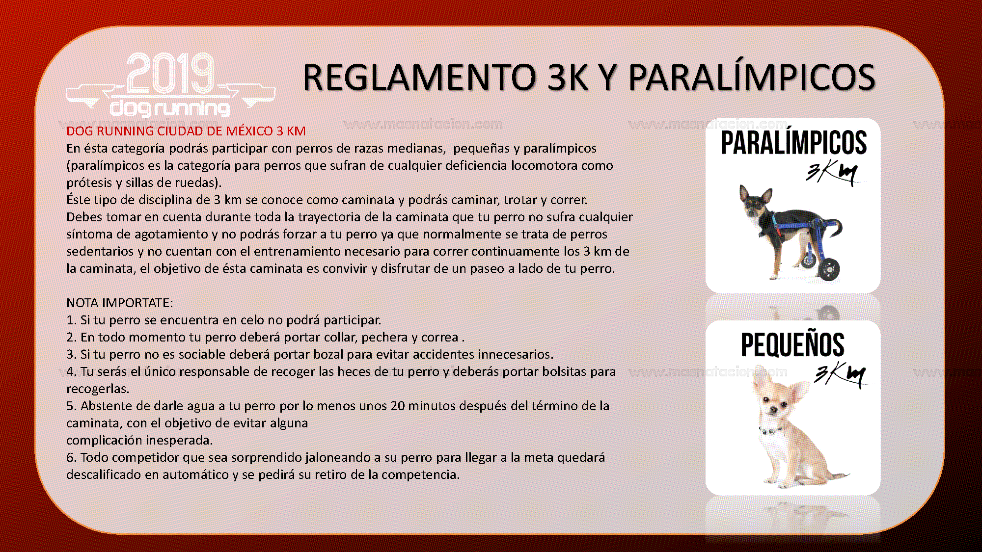 Convocatoria: Dog Running Cdmx 2019